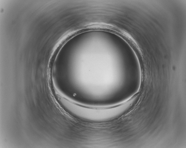 X0000060761376200511141220