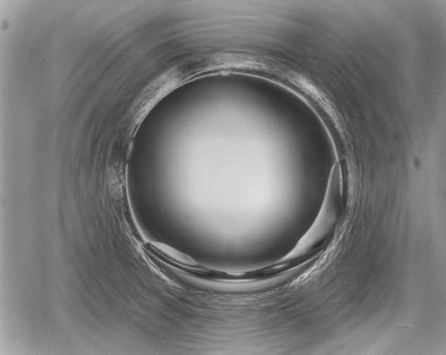 X0000060761377200511141220