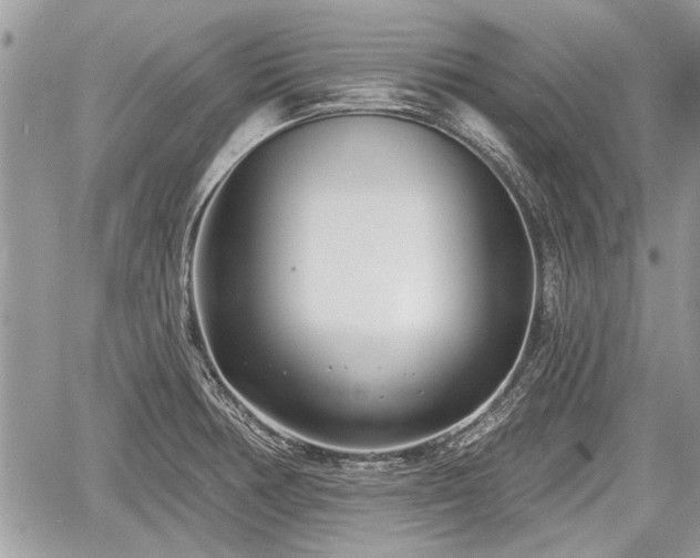 X0000060761378200511141220