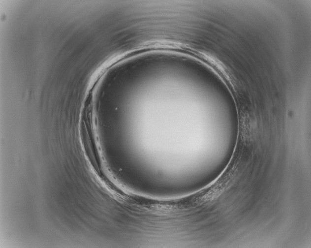 X0000060761379200511141220