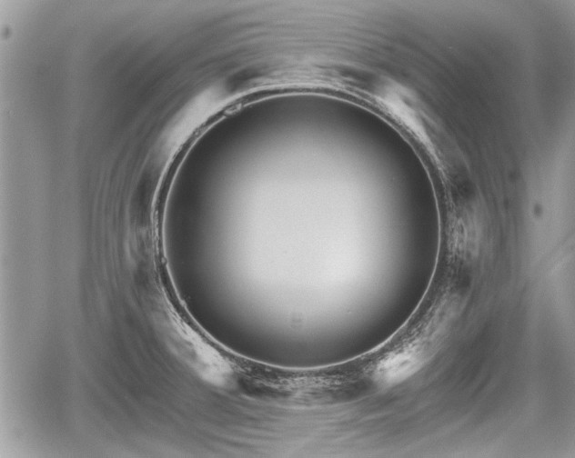 X0000060761380200511141220