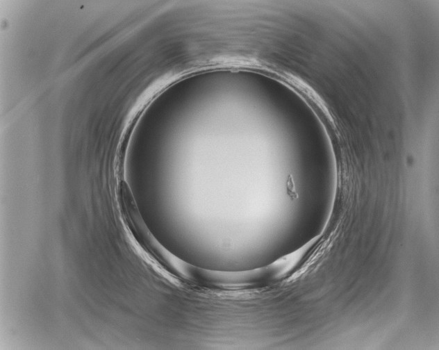 X0000060761381200511141220