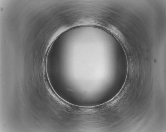 X0000060761382200511141220