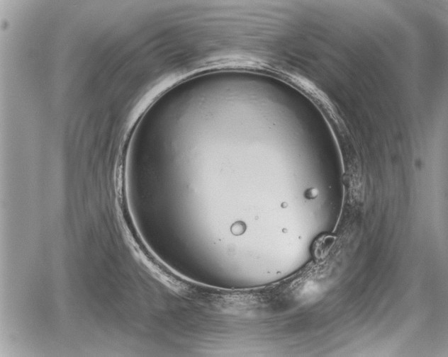 X0000060761383200511141220