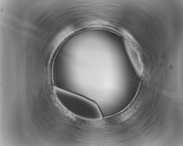 X0000060761384200511141220