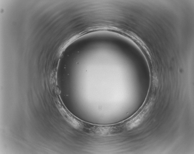 X0000060761385200511141220