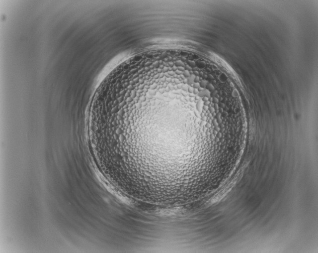 X0000060761386200511141220