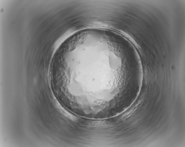 X0000060761387200511141220