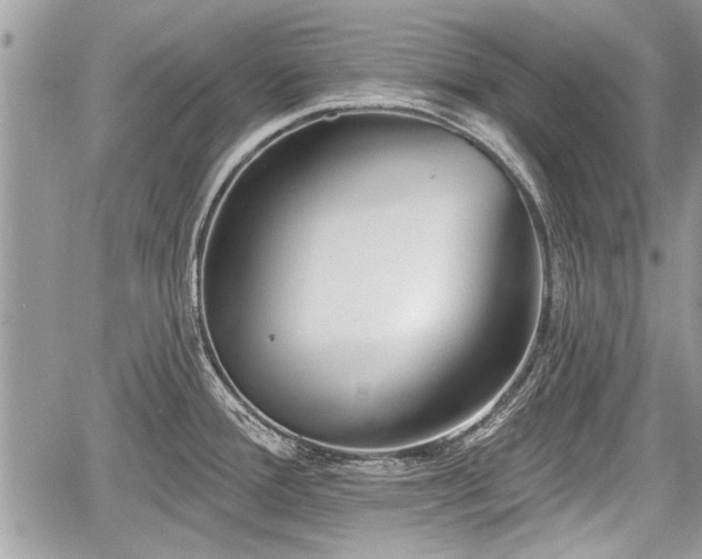 X0000060761388200511141220