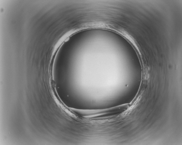 X0000060761389200511141220