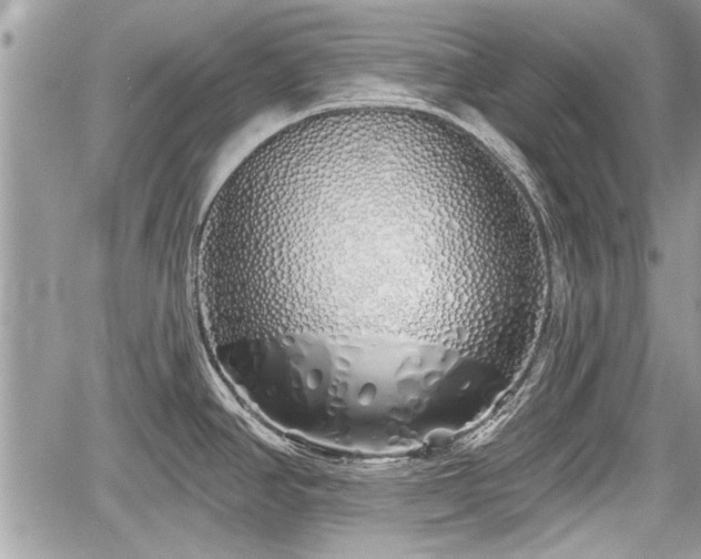 X0000060761390200511141219