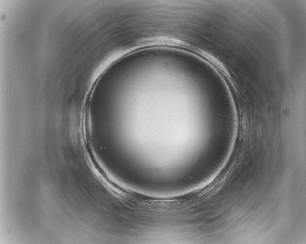 X0000060761391200511141219