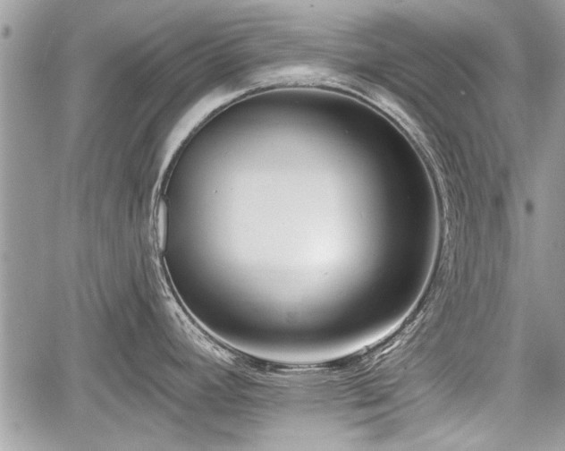 X0000060761392200511141219