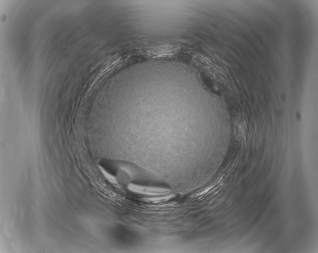 X0000060761393200511141219