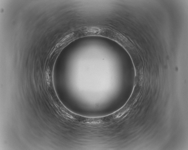 X0000060761394200511141219