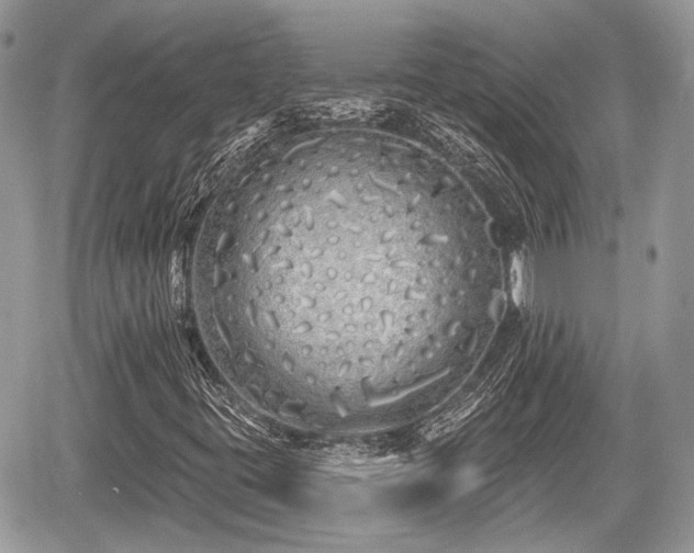 X0000060761395200511141219