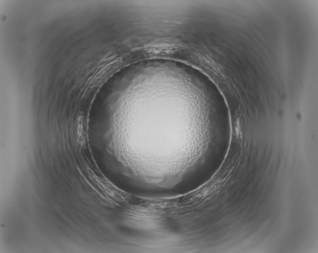 X0000060761396200511141219