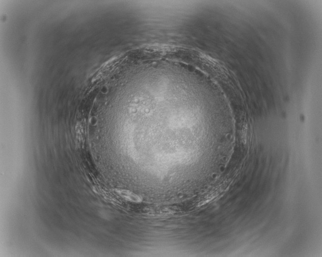 X0000060761397200511141219