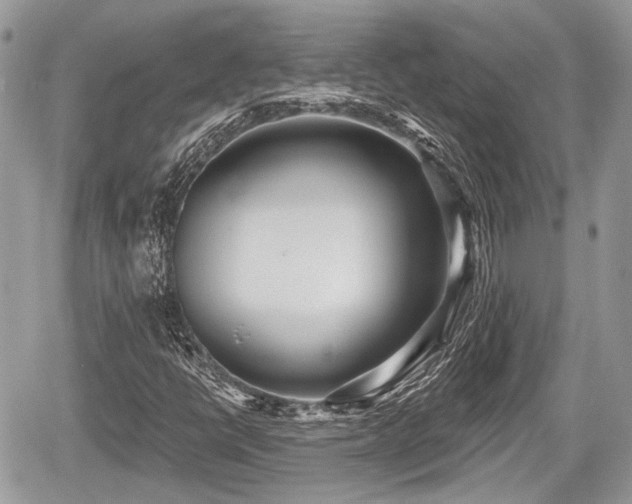 X0000060761398200511141219