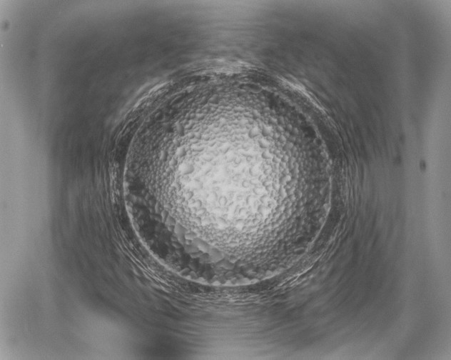 X0000060761399200511141219