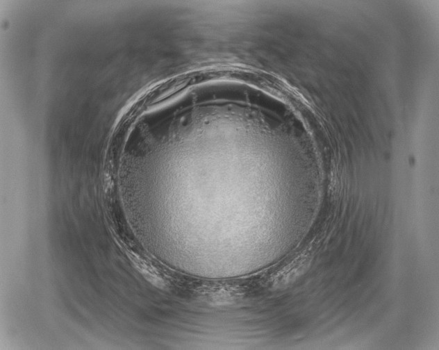 X0000060761400200511141219