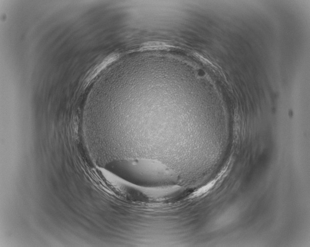 X0000060761401200511141219