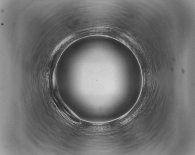 X0000060761402200511141219