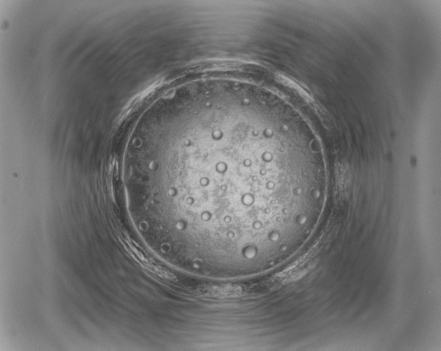 X0000060761403200511141219