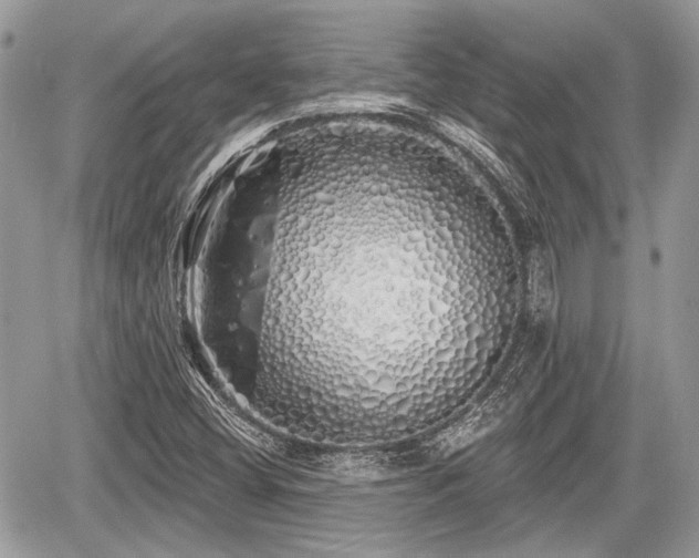 X0000060761404200511141219