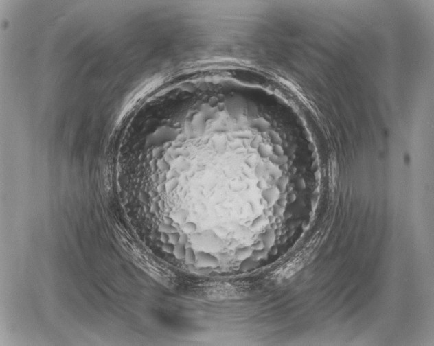 X0000060761405200511141219