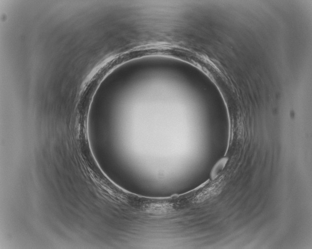 X0000060761406200511141219