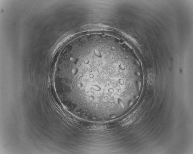 X0000060761407200511141219