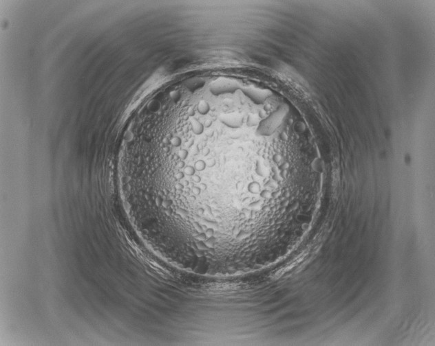 X0000060761409200511141219