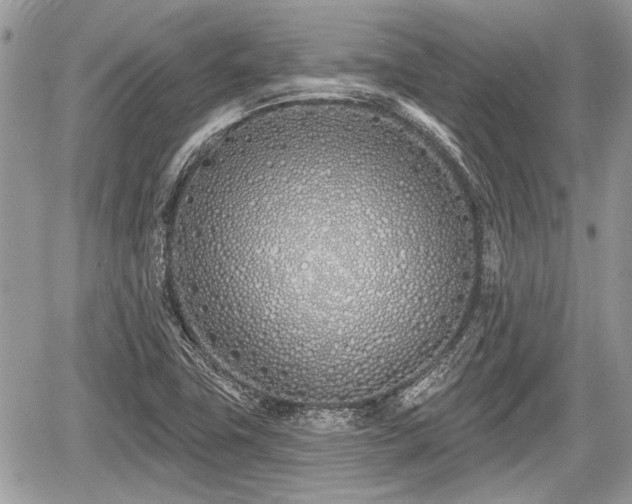 X0000060761411200511141219