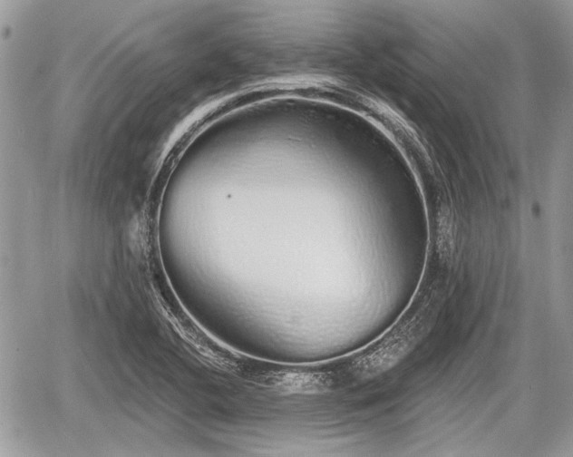 X0000060761412200511141219