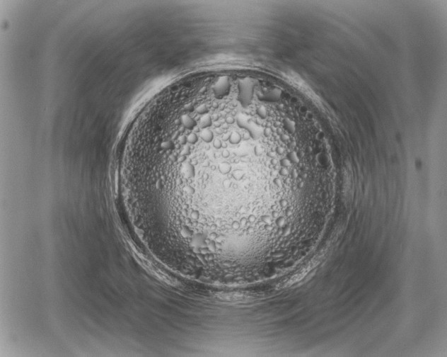 X0000060761413200511141219