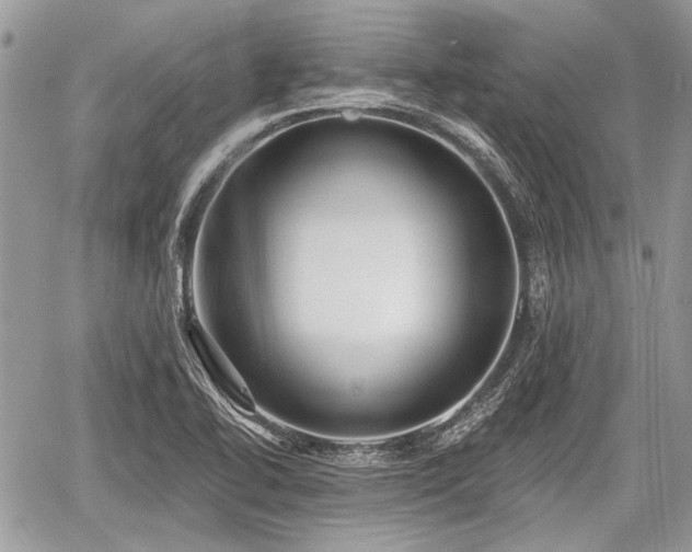 X0000060761414200511141219