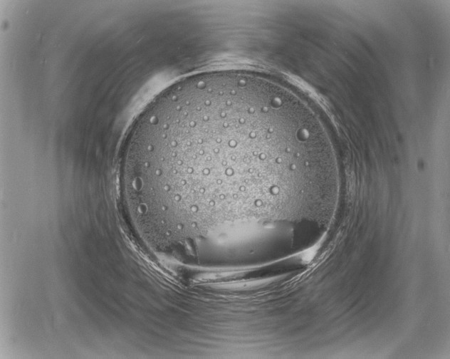 X0000060761415200511141219