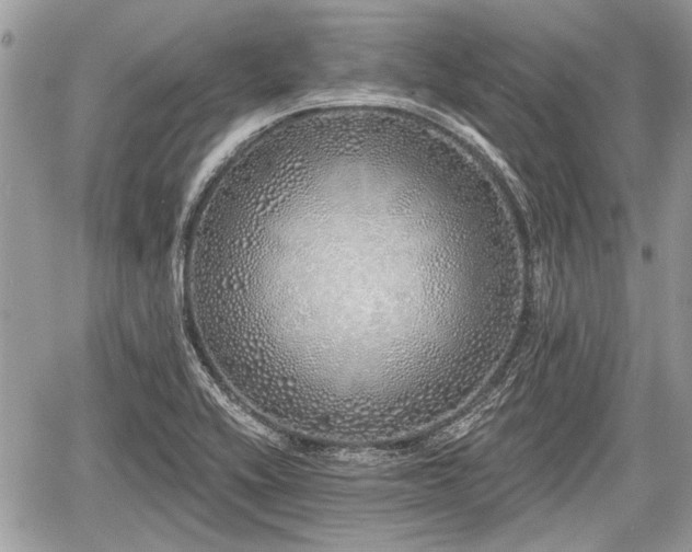 X0000060761416200511141219