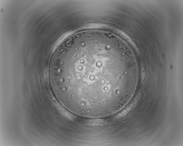 X0000060761417200511141219