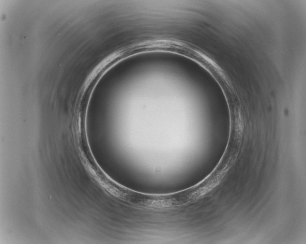 X0000060761418200511141219