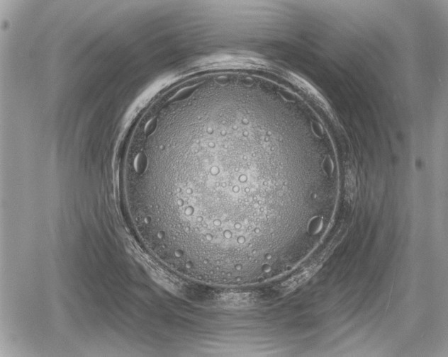 X0000060761419200511141219