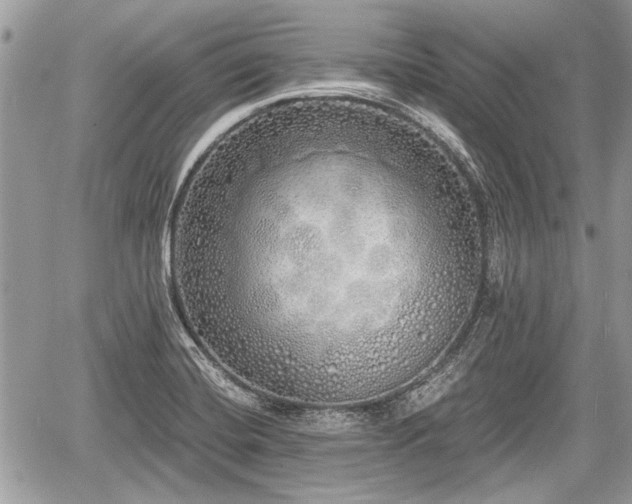 X0000060761420200511141219