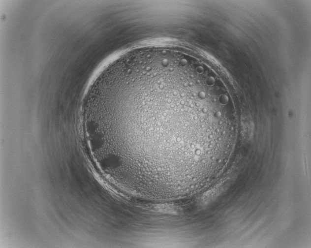 X0000060761421200511141219