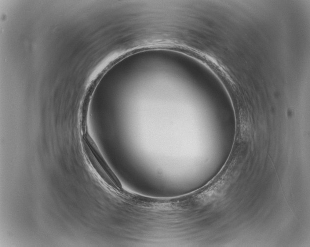 X0000060761422200511141219