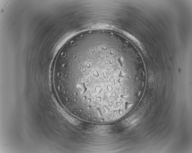 X0000060761423200511141219