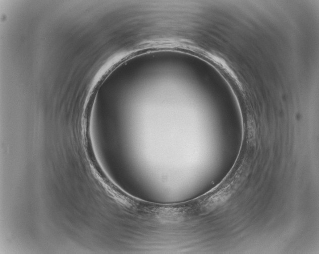 X0000060761424200511141219