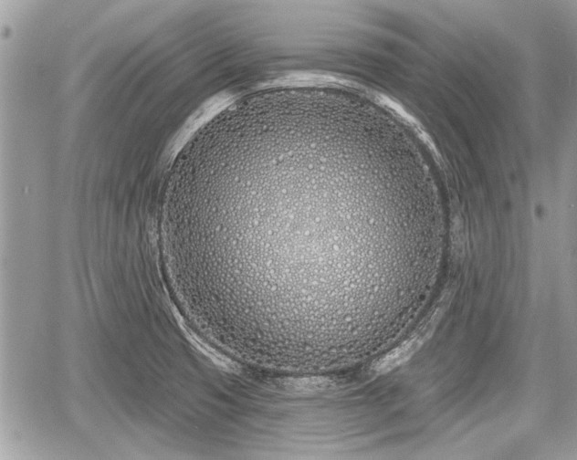 X0000060761425200511141219