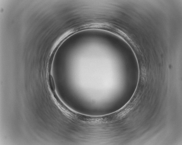 X0000060761426200511141219