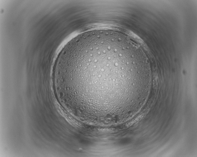 X0000060761427200511141219